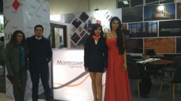 Monteolimpo servicios de ingeniería.
