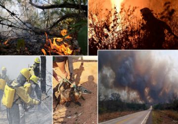 El fuego afecta al menos 5 municipios de Bolivia: Roboré, San Ignacio, San José, Carmen Rivero y San Matías.