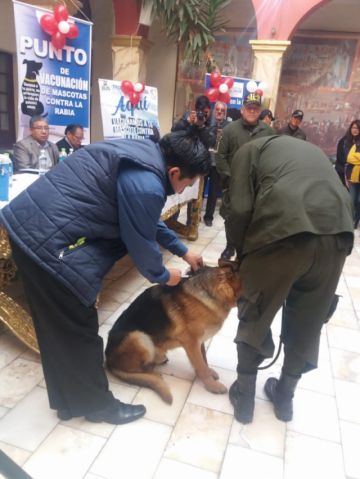 Acto de la Gobernación.