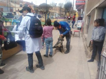 Vacunan a los animalitos.