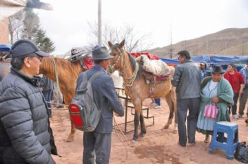 Ayer hubo maltrato animal