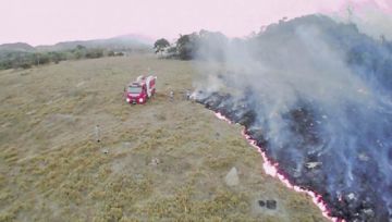 Descartan declaratoria de emergencia