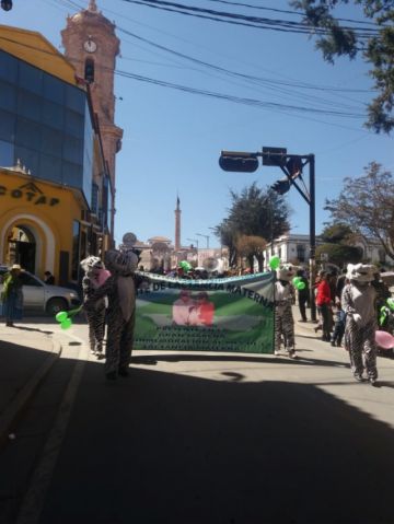 Marcharon por las calles con unidades educativas.