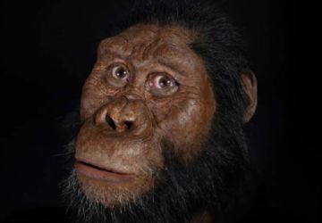 Hallan cráneo de antiguo Homo Sapiens
