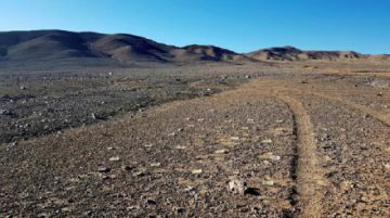 Humanos causaron un daño ambiental