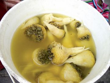 La riqueza de  la achacana