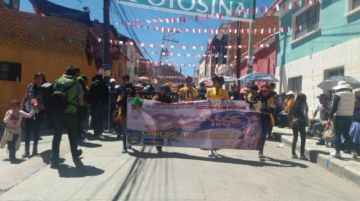 Suris del Medinaceli