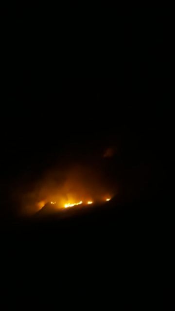 Fotografías enviadas por la noche.