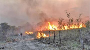 El fuego en San Matías amenaza a comunidades y al Área Natural de Manejo Integrado. hogar de la paraba azul.