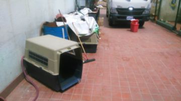 Estas son las condiciones de la perrera municipal.