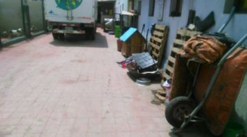 Estas son las condiciones de la perrera municipal.