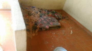 Estas son las condiciones de la perrera municipal.