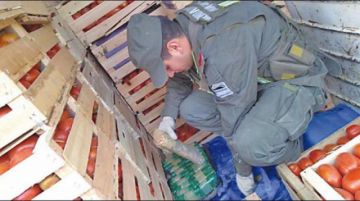 Encuentran cocaína oculta en tomates