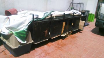 Estas son las condiciones de la perrera municipal.