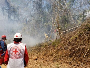 Voluntarios potosinos en la Chiquitania.