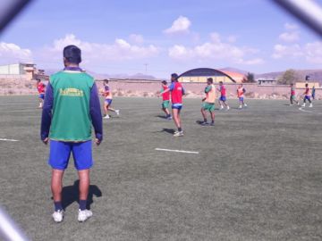 El plantel lila trabaja en espacio reducido.