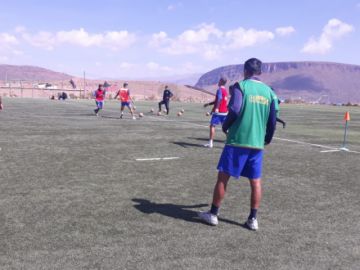 El plantel lila trabaja en espacio reducido.