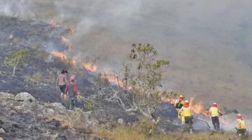 Advierten quema en el Parque Madidi  