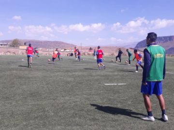 El plantel lila trabaja en espacio reducido.