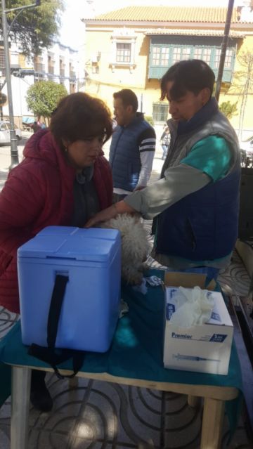 La campaña será también mañana.
