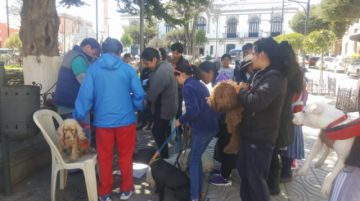 La campaña será también mañana.