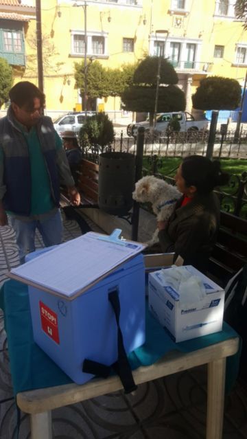 La campaña será también mañana.