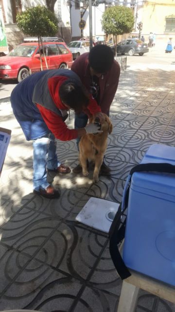 La campaña será también mañana.