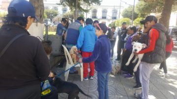 La campaña será también mañana.