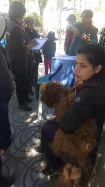 La campaña será también mañana.