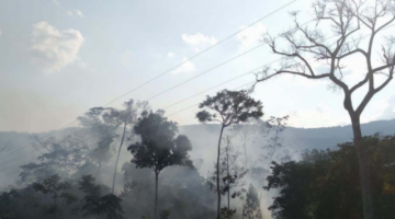 Gobernación de La Paz declara el Madidi como zona de desastre por los incendios