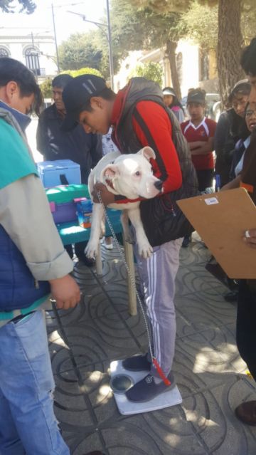 La campaña será también mañana.