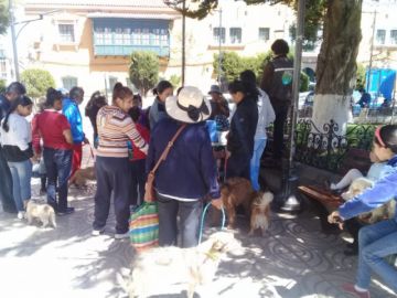 La campaña será también mañana.