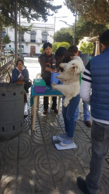 La campaña será también mañana.