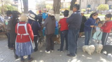 La campaña será también mañana.