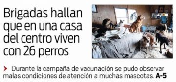 Haga "click" en las imágenes para ampliarlas.
