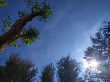 Así está el cielo de Tupiza.