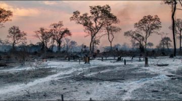 Se calcula que el 45 % de las zonas afectadas son de áreas protegidas