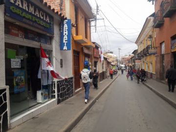 Colocan banderas potosinas.