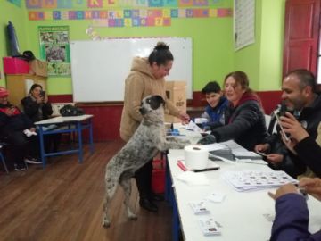 “El perrito que quería votar” se convierte en sensación