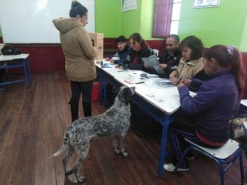 Rodrigo acudió  a votar en la escuela Santa Rosa