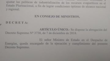 El texto del documento.