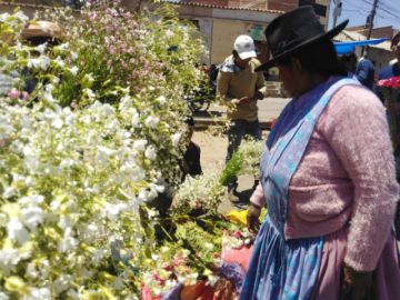 Las familias acuden desde temprano este domingo.