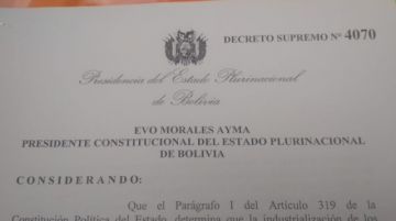 El texto del documento.