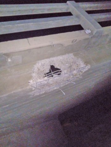 Este sería una de los boquetes que causó la explosión en el puente del río Márquez.