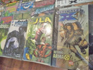 Se puede encontrar ejemplares de colección en el Pabellón de los Oficiales Reales.