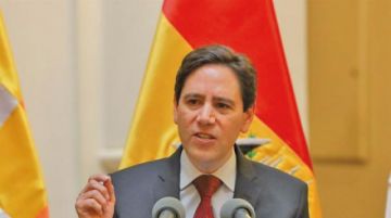 El presidente del Tribunal Supremo Electoral, Salvador Romero.