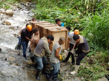 Ya se encuentra en el refugio de vida silvestre 