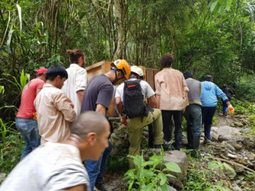 Ya se encuentra en el refugio de vida silvestre 