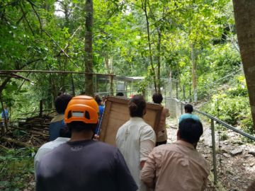 Ya se encuentra en el refugio de vida silvestre 