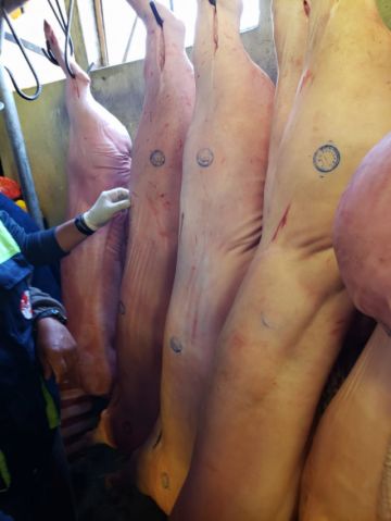 Realizaron la actividad en mercados y calles aledañas. FOTO SEDES